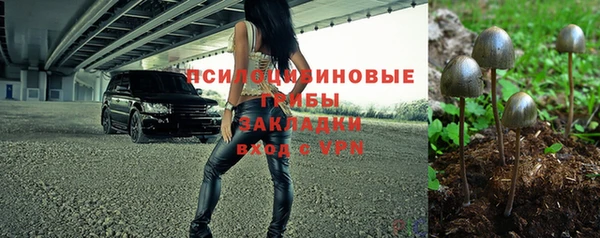 mdpv Верея