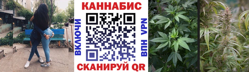 мориарти телеграм  Кинель  Канабис White Widow 